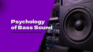 bass frequency sound waves diagram showing low end vibration patterns